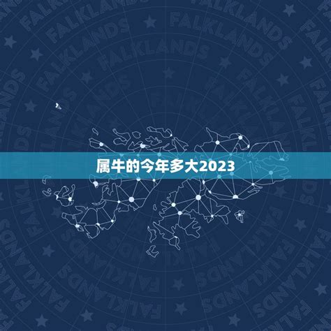 2008年出生今年多大|2008年今年多大了